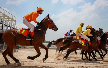 Hà Nội muốn xây trường đua ngựa 420 triệu USD ở Sóc Sơn