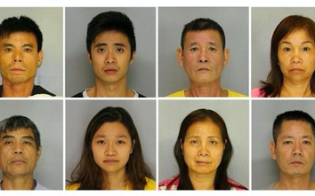 Mỹ bắt 9 người gốc Việt trong mạng lưới trồng cần sa tinh vi