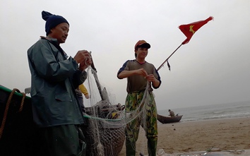Ngư dân phố biển Sầm Sơn trúng đậm cá Kiền ngày đầu năm mới