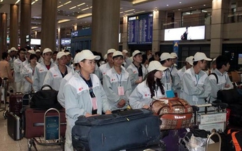 Dừng xuất khẩu lao động sang Hàn Quốc tại 58 quận, huyện