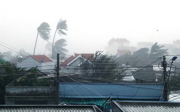 Sau bão Damrey, DN bảo hiểm ước tính bồi thường khoảng 1000 tỷ đồng