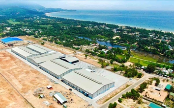 Thừa Thiên Huế đề xuất cơ chế thúc đẩy phát triển hạ tầng thương mại biên link vao w88 bong88