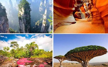 Những bức ảnh đẹp nhất về các kỳ quan thiên nhiên trên thế giới
