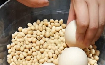 Không cần tủ lạnh, trứng bảo quản theo cách này 6 tháng vẫn tươi ngon