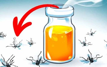 11 cách diệt muỗi trong nhà cực đơn giản chống dịch sốt xuất huyết
