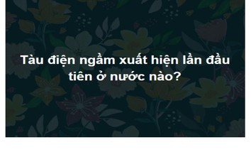 Trắc nghiệm: Bộ câu đố thách thức các “triệu phú” kiến thức