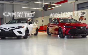 Toyota Camry và Avalon 2019 bản thể thao bất ngờ lộ diện