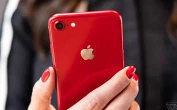 Tiết lộ thông tin bất ngờ liên quan đến iPhone 2019