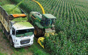 Phát triển nông nghiệp công nghệ cao: Không được đi trước về sau