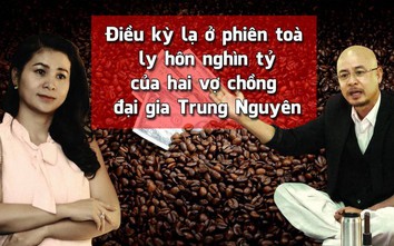 Điều kỳ lạ ở phiên toà nghìn tỷ của hai vợ chồng đại gia Trung Nguyên