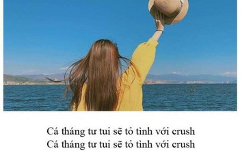 Cách tỏ tình crush ngày Cá tháng Tư