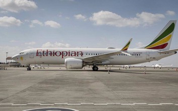 Boeing 737 Max của Ethiopian Airlines bị vật thể lạ tấn công?