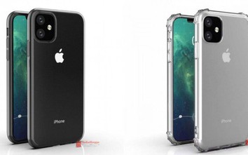 Lộ ảnh tuyệt đẹp của iPhone XR 2019: Cụm camera hình vuông, màu sắc "hot"