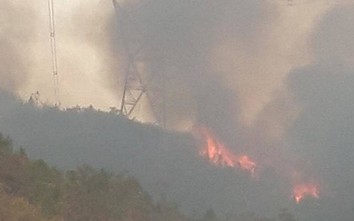 Tập đoàn Điện lực báo cáo "khẩn" Thủ tướng Chính phủ sau vụ cháy rừng