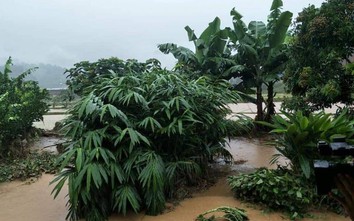 Sơn La: Mưa lũ gây thiệt hại lớn tại huyện biên giới Sốp Cộp