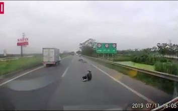 Video: Bị cướp giật trên cao tốc, cô gái suýt mất mạng trước đầu ô tô
