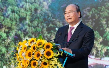 Thủ tướng: Không được đầu tư chộp giật, "bê tông hóa" Phú Quốc