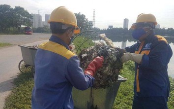 Hà Nội: Cá chết hàng loạt, bốc mùi hôi thối tại Công viên Yên Sở