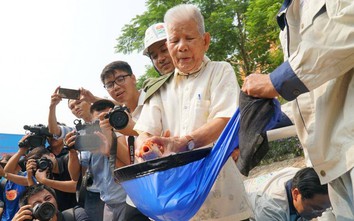 Cận cảnh cá chép Nhật Bản tung tăng bơi lội đoạn sông Tô Lịch đã làm sạch