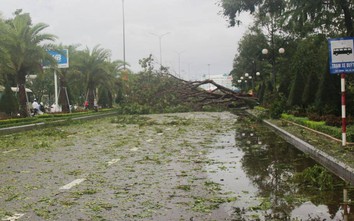 Cận cảnh tan hoang vùng tâm bão số 5 tại TP Quy Nhơn