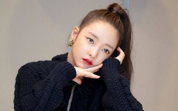 Điều gì đã khiến Goo Hara lâm vào bi thảm?