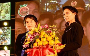 Bắc Giang: 20kg cam và 11 quả bưởi được đấu giá 144 triệu đồng