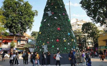 Hà Nội xuất hiện nhiều cây thông lớn đón Noel 2019