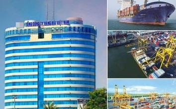 "Siêu Ủy ban" tiếp tục giới hạn vốn đầu tư của Vinalines năm 2020