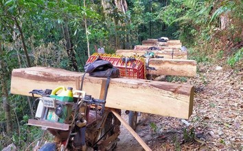 Kon Tum: Bắt 13 lâm tặc khai thác vận chuyển gỗ trái phép