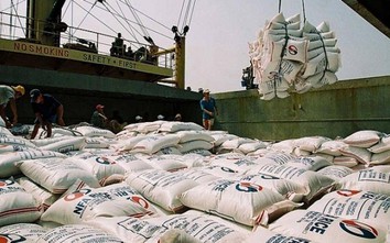 Covid-19 diễn biến phức tạp, Việt Nam cấm xuất khẩu gạo kể từ ngày 24/3