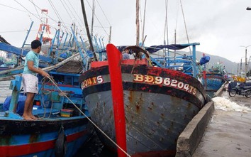 Phạt 900 triệu đồng chủ tàu cá ở Bình Định xâm phạm lãnh hải Đài Loan