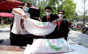 Người Hà Nội nườm nượp góp gạo "nuôi" máy "ATM gạo" miễn phí
