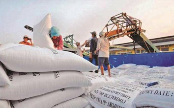 Bộ Công thương thành lập đoàn kiểm tra trước “lùm xùm” xuất khẩu gạo