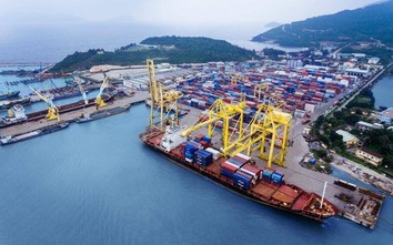 Lợi nhuận cảng Đà Nẵng tăng vọt trong mùa Covid-19
