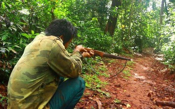 Đi rừng săn thú, bố bắn nhầm khiến con ruột tử vong thương tâm