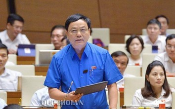 Đại biểu Quốc hội tranh luận vụ án Hồ Duy Hải và vụ lùi xe trên cao tốc