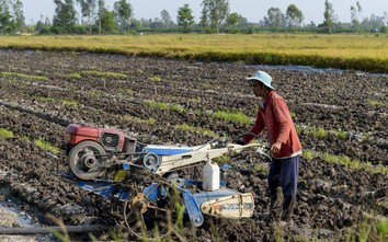 Cần sớm sửa đổi Luật thuế 71, giảm bớt thiệt hại cho nông dân