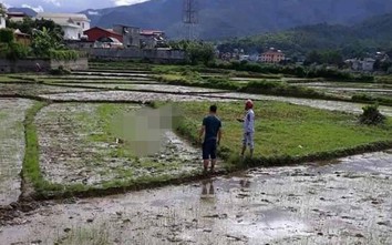 Thảm án ở Điện Biên, 3 người tử vong với nhiều thương tích