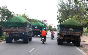 “Hung thần” xe ben đại náo đường ven biển Ninh Thuận