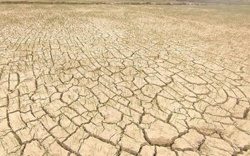 Hạn hán ở 6 tỉnh Bắc Trung Bộ: "Bằng mọi giá không để dân thiếu nước"