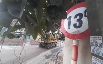 Bắc Ninh: Lãnh đạo huyện Tiên Du "bật đèn xanh" cho xe quá tải lộng hành?