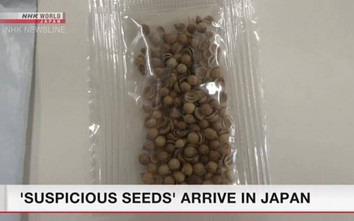 Nhật Bản đã phát hiện bưu kiện chứa hạt giống lạ gửi từ Trung Quốc