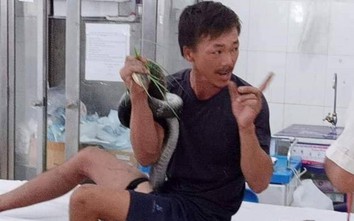 Diễn biến mới nhất sức khỏe bệnh nhân bị rắn hổ mang chúa cắn ở Tây Ninh