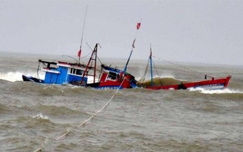 Hàng hải khuyến cáo chủ tàu duy trì cảnh giới, tránh nguy cơ va chạm