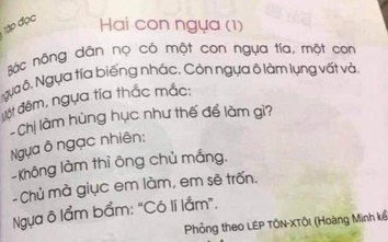 Dậy sóng SGK Tiếng Việt lớp 1: Tổng chủ biên Nguyễn Minh Thuyết nói gì?