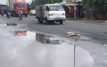 Ao nước trên QL30 ngang nhiên tồn tại gần 4 năm