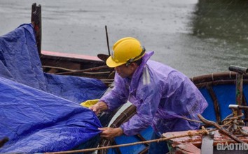 Ngư dân Thanh Hóa hối hả "chạy bão"