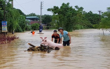 Chính phủ hỗ trợ khẩn cấp 500 tỷ đồng cho các tỉnh miền Trung chống lũ lụt