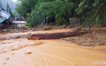 Thiệt hại bão số 9: Ba vụ sạt lở ở Quảng Nam; 62 người chết và mất tích