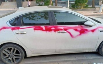 Người xịt sơn vào hàng loạt ô tô tại KĐT Dương Nội đối diện mức phạt nào?